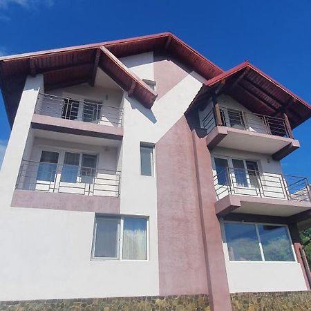 Casa Silvia Hotel Căpăţîneni-Ungureni Exterior foto