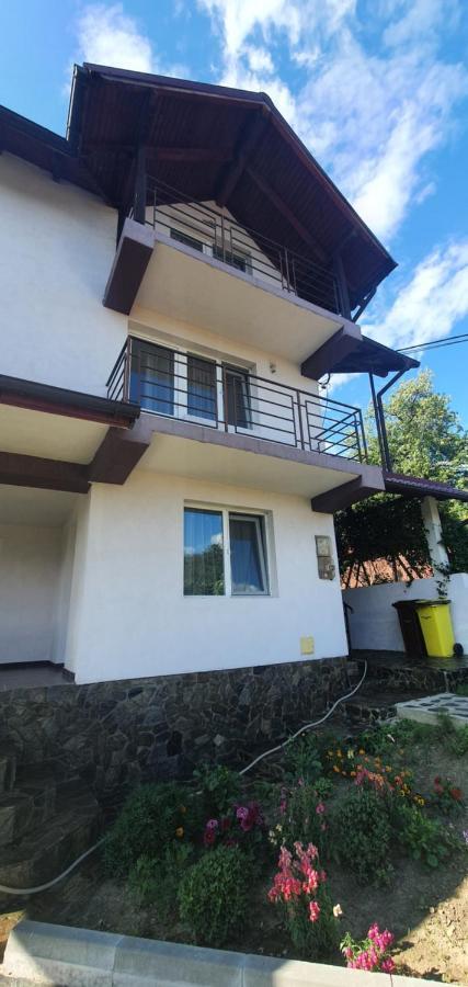 Casa Silvia Hotel Căpăţîneni-Ungureni Exterior foto