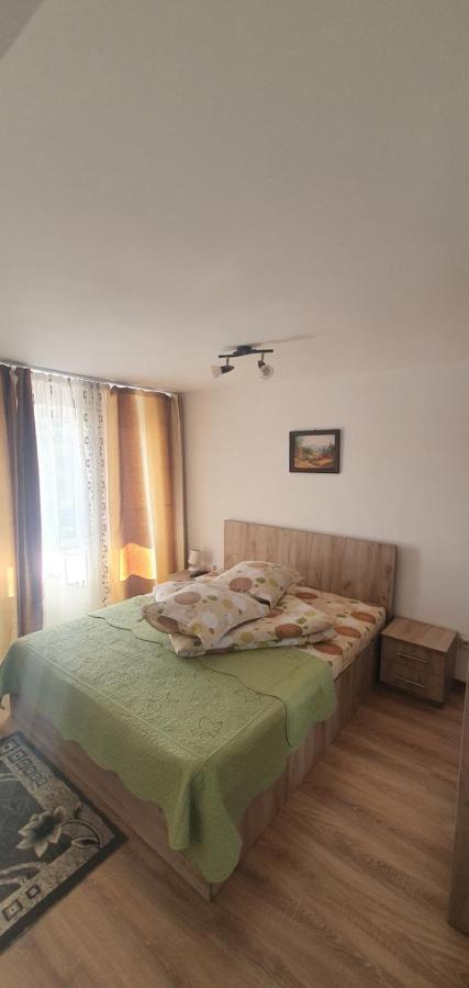Casa Silvia Hotel Căpăţîneni-Ungureni Exterior foto