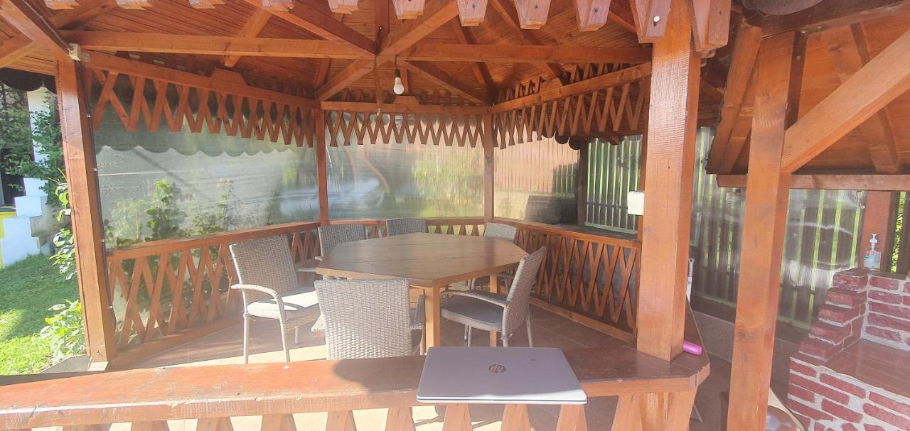 Casa Silvia Hotel Căpăţîneni-Ungureni Exterior foto