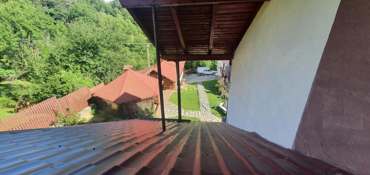Casa Silvia Hotel Căpăţîneni-Ungureni Exterior foto