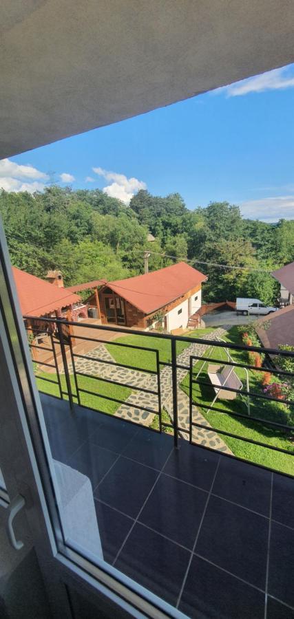 Casa Silvia Hotel Căpăţîneni-Ungureni Exterior foto