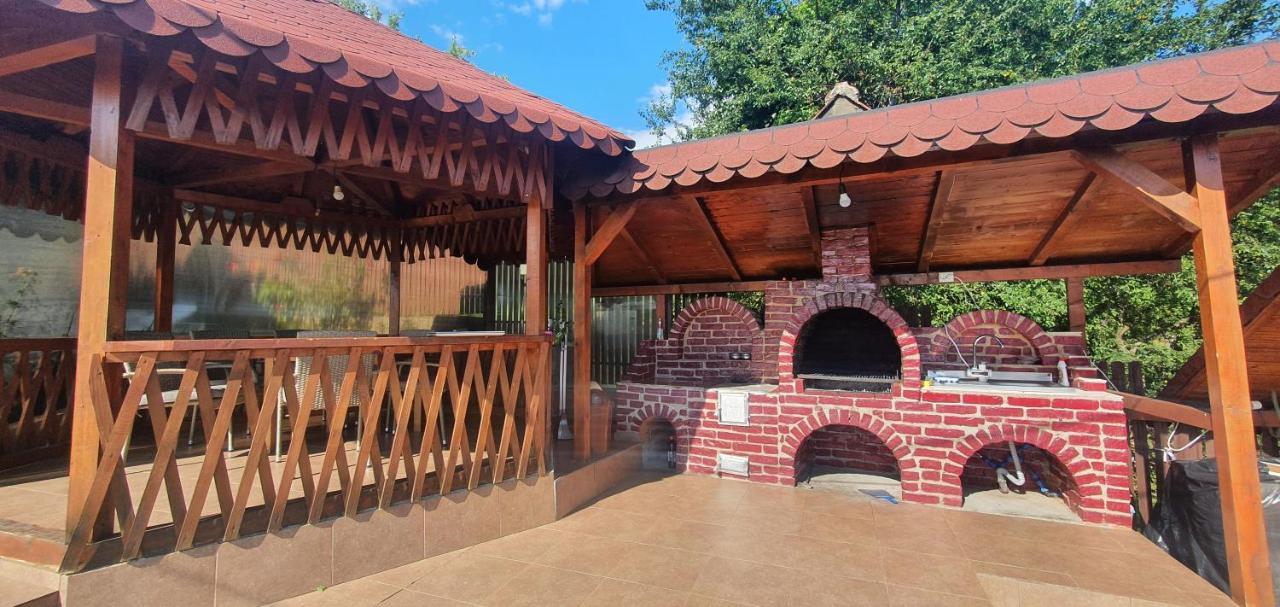 Casa Silvia Hotel Căpăţîneni-Ungureni Exterior foto
