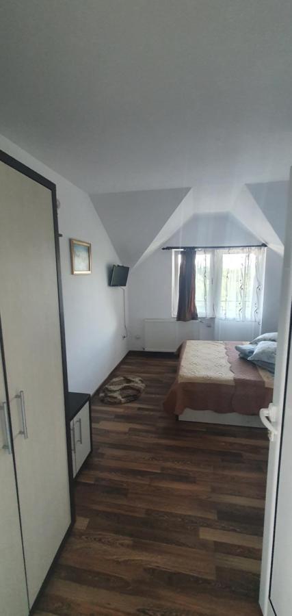 Casa Silvia Hotel Căpăţîneni-Ungureni Exterior foto